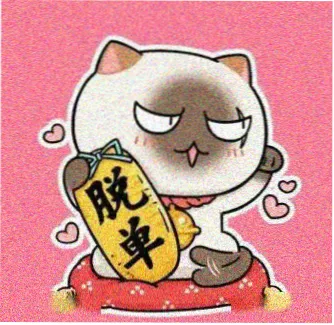 动漫控小赛头像